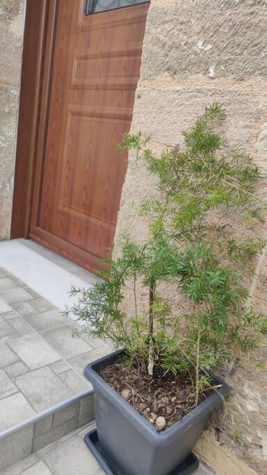 فيلا Heliophilia Malona Malona Village المظهر الخارجي الصورة